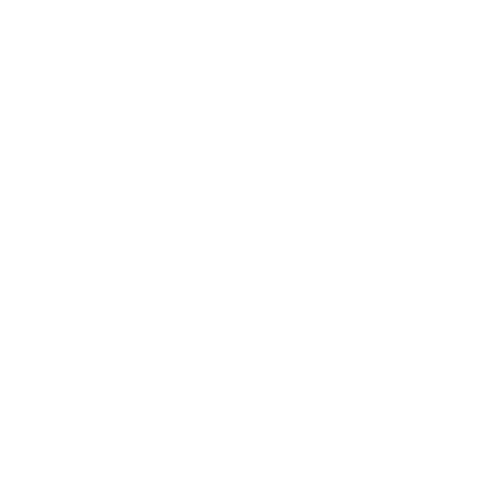 Salido logo