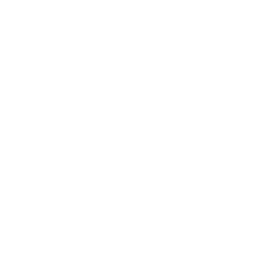 Lightspeed POS logo